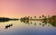 Kerala Hill Station Backwater Tour Package