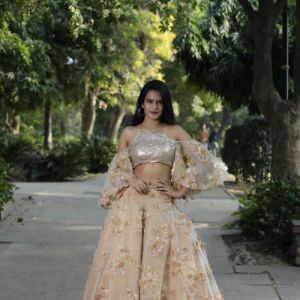 Ladies Lehenga