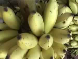 Fresh Banana