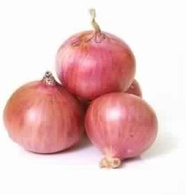 Fresh Onion