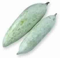 Fresh Snake Gourd