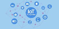 IoT Training Service