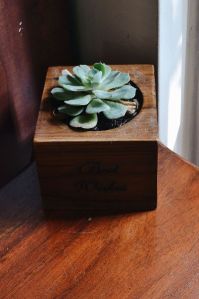 Square Wooden Planter with Echiveria Succulent Plant