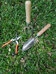Wooden Handle Garden Tools - Set Of Three