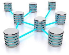 Database Management Services