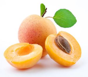 Fresh Apricot