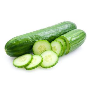 Fresh Cucumber