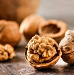 Walnut Kernels