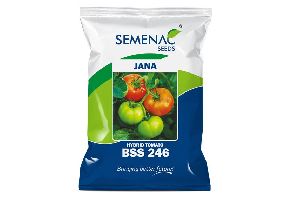 BSS 246 Hybrid Tomato Seeds