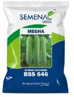 Cucumber - MEGHA (BSS 646)