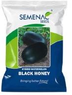 Hybrid Black Honey Watermelon Seeds