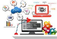 CMS Solution Services