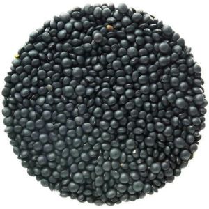 Black Lentils