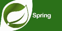 Spring Online Training Services