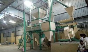 Cattle Feed Plant