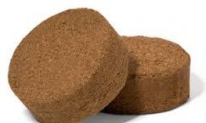 Coco Peat Disk