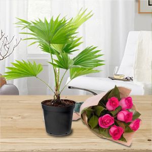 pink roses bouquet palm plastic planter gift