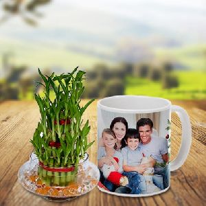 Exotic Gift of Triple Layer Bamboo Luck Plant in a Personalized Coffee Mug