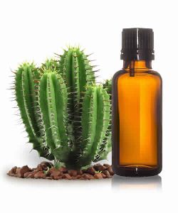 cactus seed oil