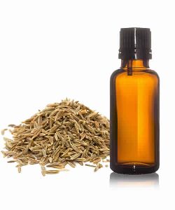 Caraway Oil