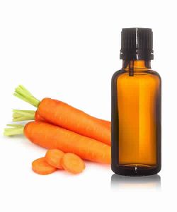 Carrot Seed Oil