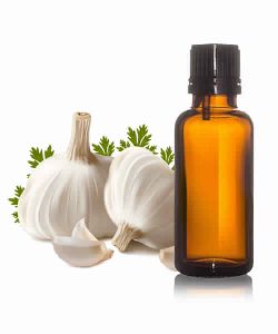 Garlic Oil