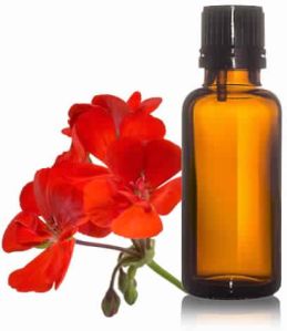 Geranium Oil