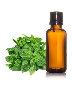 Holy Basil Oil