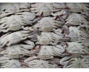 Frozen Crabs