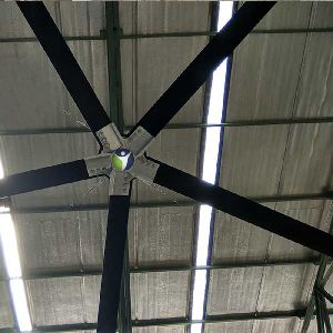 Large Ceiling Fan