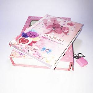Pink Love Lock & Key Diary