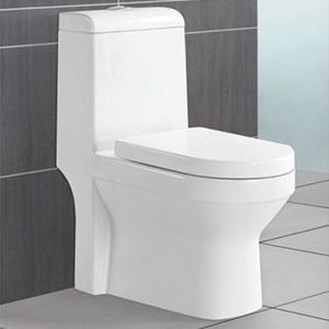 Nexon Toilet Seat