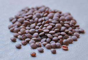 Black Masoor Dal