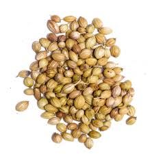 Coriander Seeds