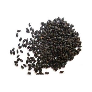 Basil Seeds