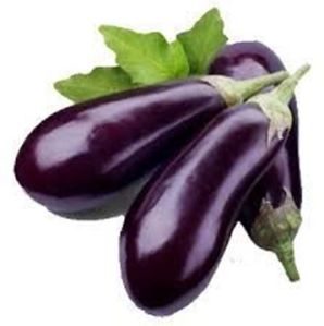 Fresh Brinjal