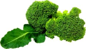 Fresh Broccoli