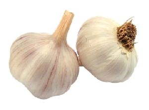 Fresh Garlic