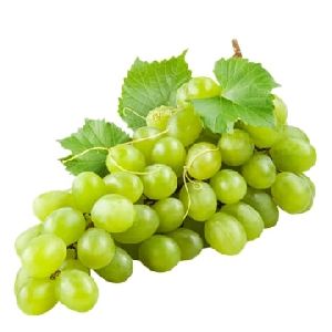 Fresh Grapes