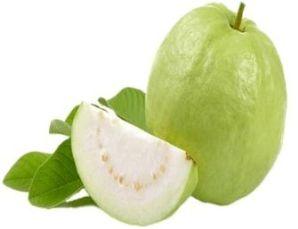 Fresh Guava