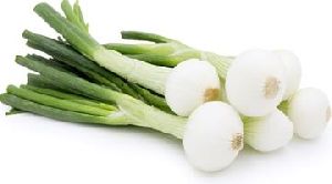 Fresh Spring Onion