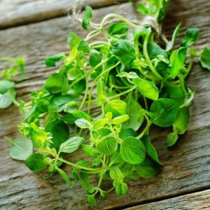 Oregano Leaves