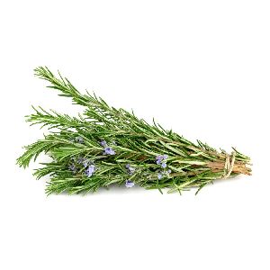 Rosemary Leaves