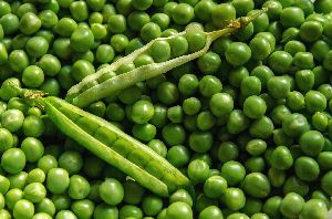 Green Peas