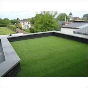 Building Rooftop Garden