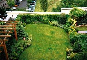 Home Rooftop Garden