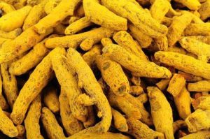 Erode Turmeric Finger