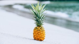 Fresh Pineapple