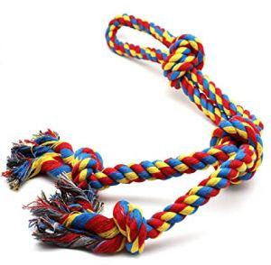 dog rope leash