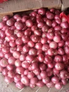 Red Onion